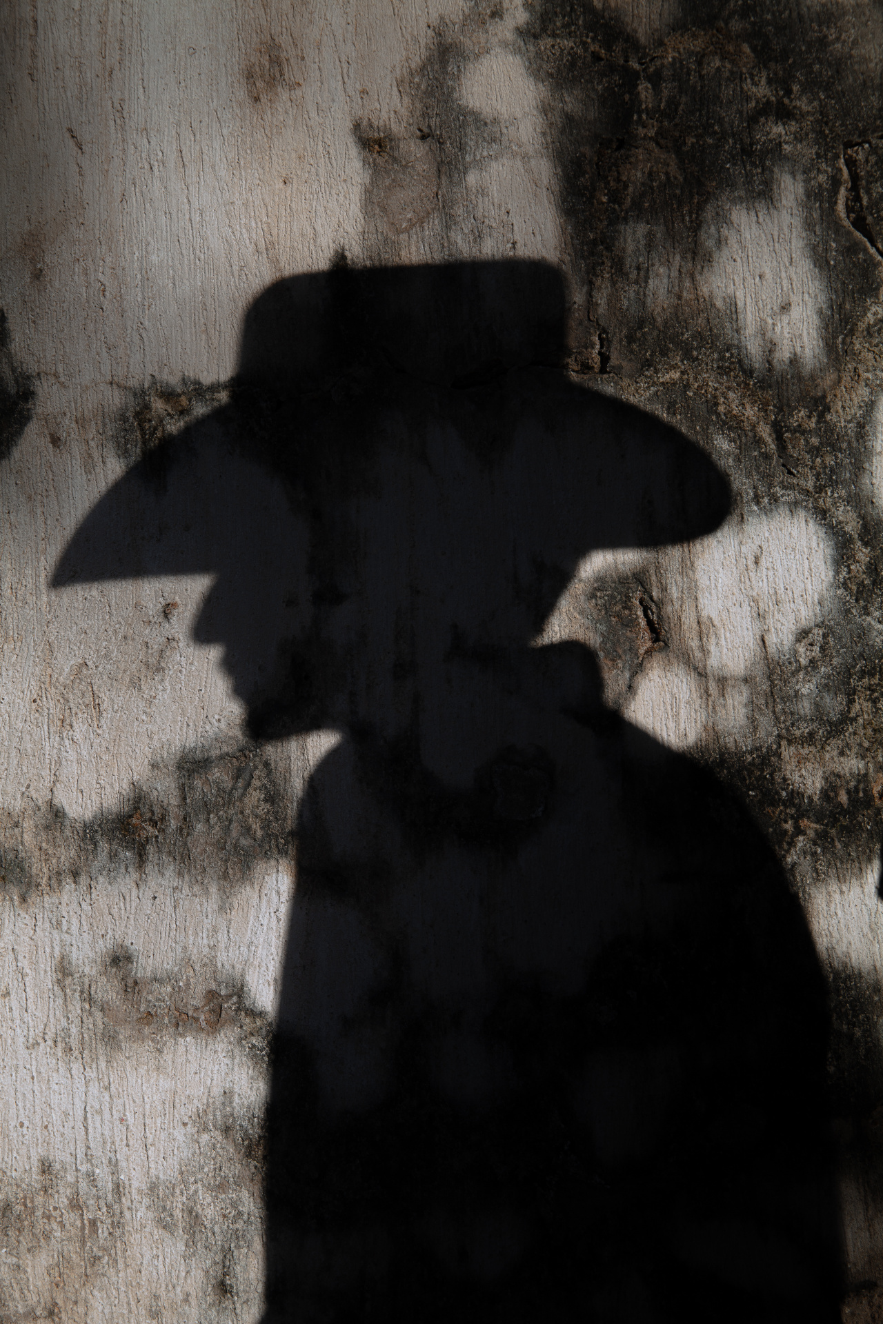The shadow of an unidentified figure in a wide-brimmed hat cast on a weathered wall